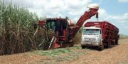 O plantio de cana no Tocantins cresceu 18,5% entre 2011 e 1012, passando de 27 mil hectares no final de 2011 para 32 mil hectares este ano