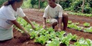 Agroecologia Ã© uma nova abordagem da agricultura que integra diversos aspectos agronÃ´micos