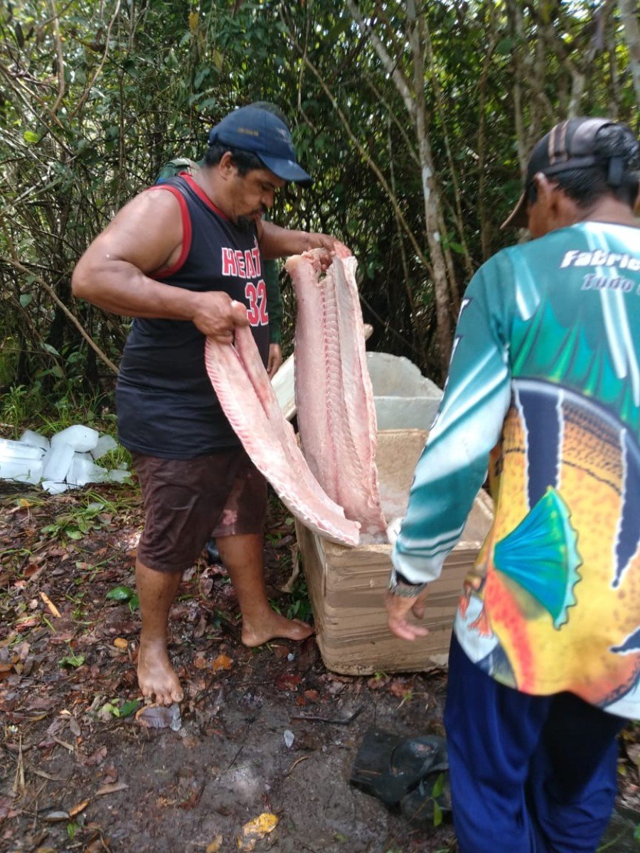 Homem foi detido pela PM em DuerÃ© com mais de 60 kg de pescado ilegal e por abater animais silvestres