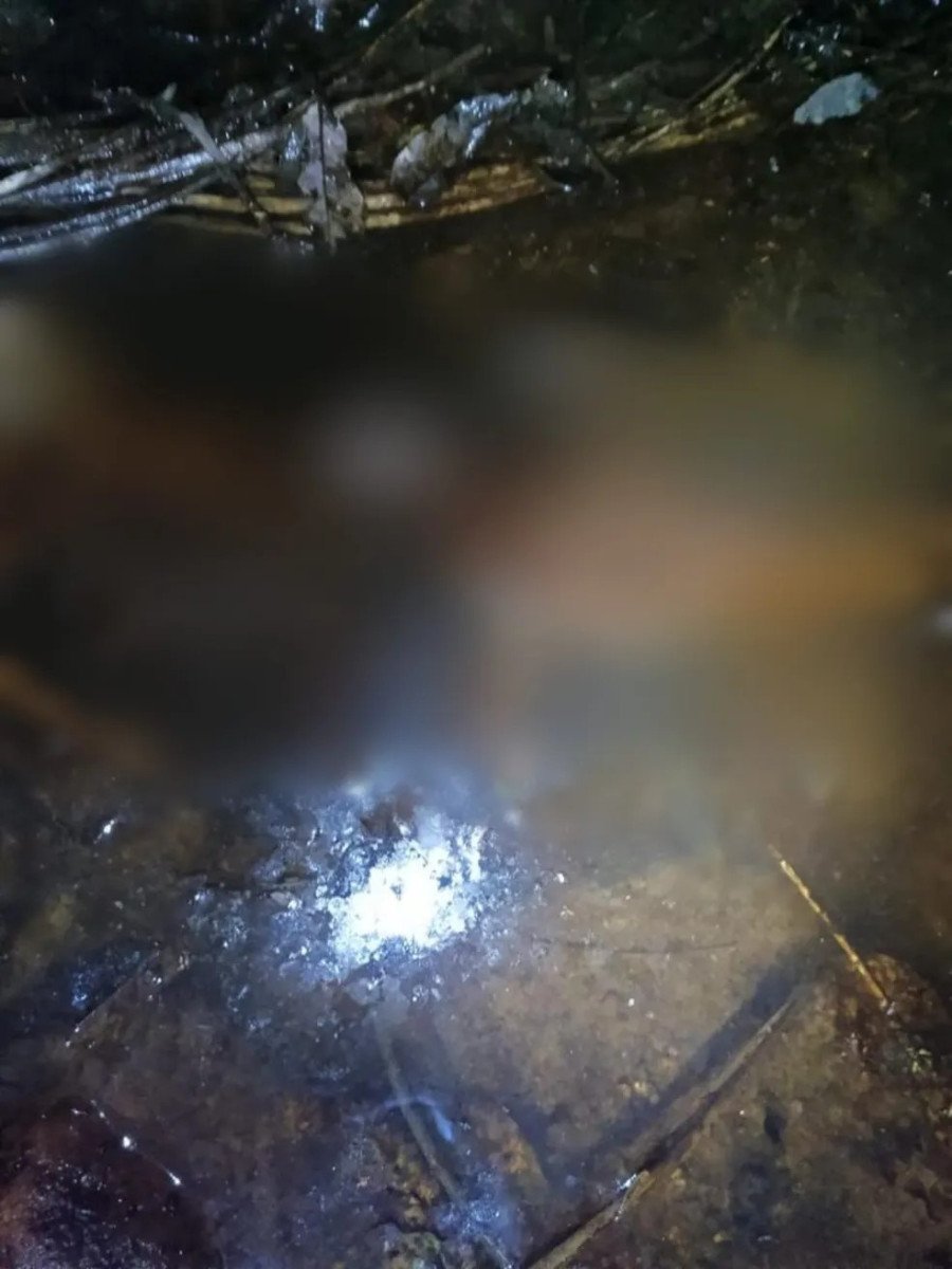 Corpo estava em área alagada de uma chácara em Xambioá (Foto: Polícia Militar)