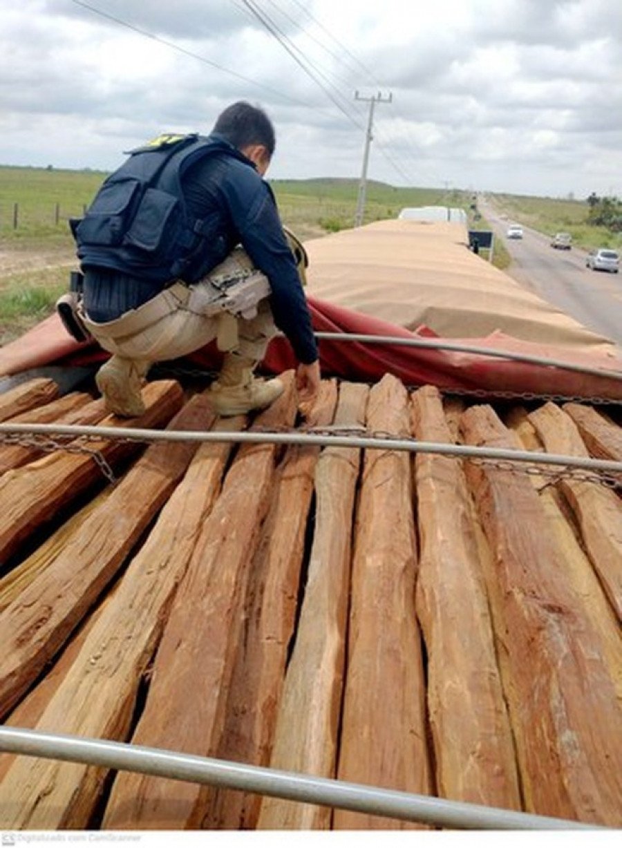 Carga com madeira transportada sem nota foi apreendida em Marabá-PA (Foto: PRF/Reprodução)