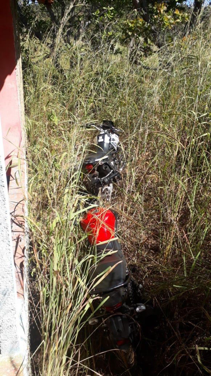 PM recuperou motocicletas furtadas escondidas em matagal em Palmas