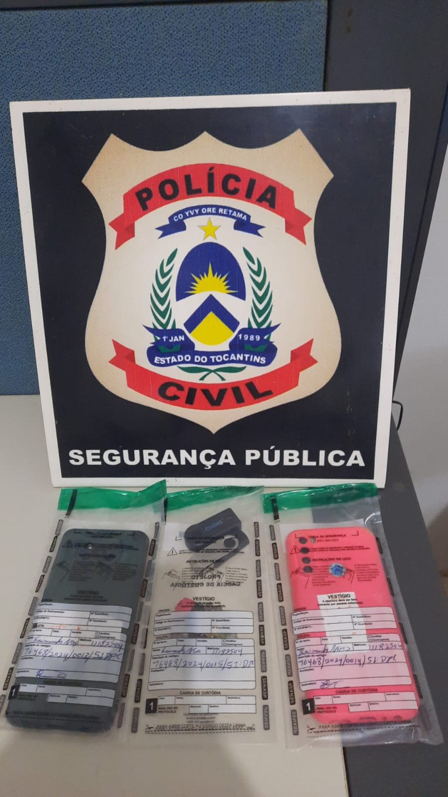 Ação da Polícia Civil visa apurar possíveis crimes de estupro virtual (Foto: Dicom/SSP-TO)