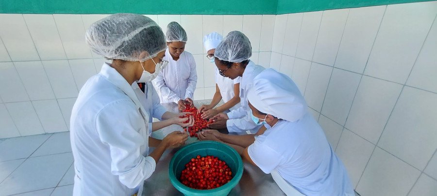 Unidade de beneficiamento transforma frutas, como a acerola em polpa para suco (Foto: Divulgação)