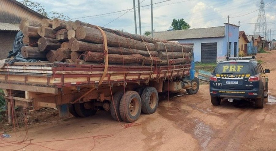 Apreensão de madeira em Anapu-PA, em caminhão sem placas e com toras sem nota fiscal (Foto: PRF/Divulgação)