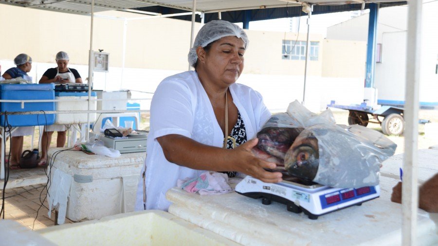 Tradicional Feira do Peixe acontecerÃ¡ em todas as feiras de Palmas durante a Ãºltima quinzena da Quaresma