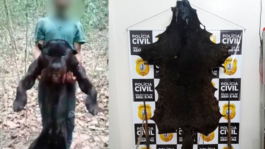 Caçador que exibiu onça-preta em vídeo foi preso suspeito de abater o animal no Maranhão (Foto: Reprodução)