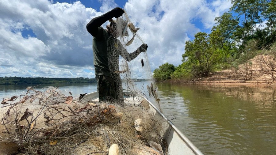 Espécies de quelônios que estavam presas nas redes foram devolvidas à água (Foto: Naturatins/Governo do Tocantins)