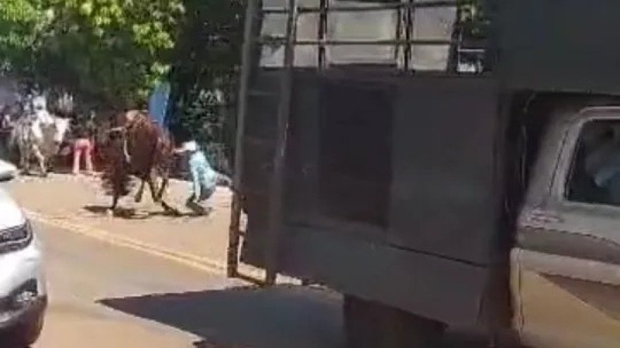 Mulher caiu do cavalo durante a cavalgada em Guaraí (Foto: Divulgação/Redes sociais)