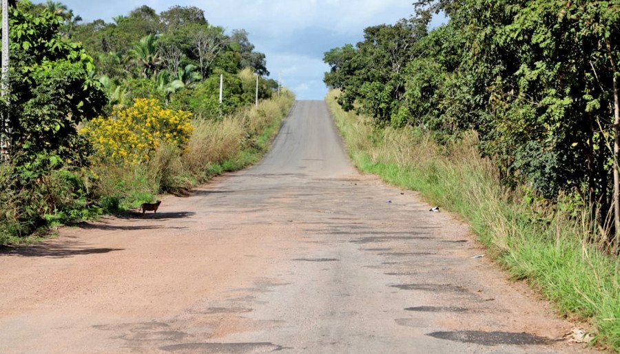 Governo do Tocantins autorizou o início de obras de infraestrutura de pavimentação asfáltica para recuperação de trecho da TO-164