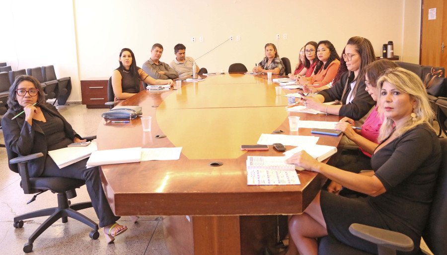 Educação e Selo Unicef em reunião de planejamento de ações para o ano 2024 (Foto: Nilson Chaves/Governo do Tocantins)