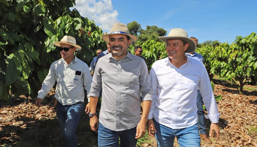Em Riachão das Neves, a comitiva do Tocantins seguiu o cronograma, visitando os viveiros de plantas e a plantação de cacau