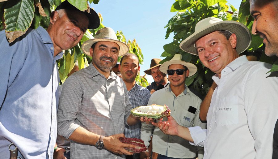 Wanderlei Barbosa e a comitiva do Tocantins visitaram os viveiros de plantas na Bahia, em busca de técnicas inovadoras para o cultivo de cacau