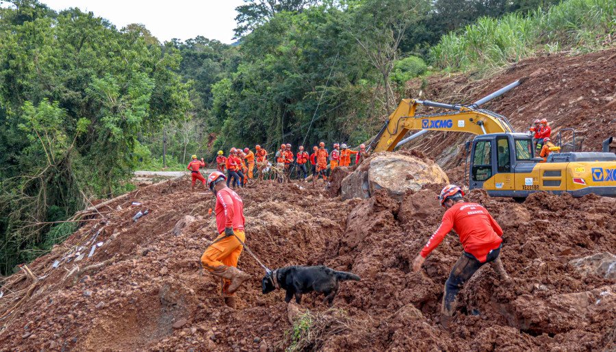 Bombeiros tocantinenses e cães de busca em ação durante as operações no Rio Grande do Sul (Foto: Luiz Henrique Machado)