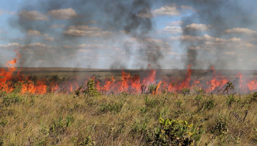 A Portaria emitida não se aplica às ações de prevenção e combate a incêndios florestais (Foto: Fernando Alves/Governo do Tocantins)