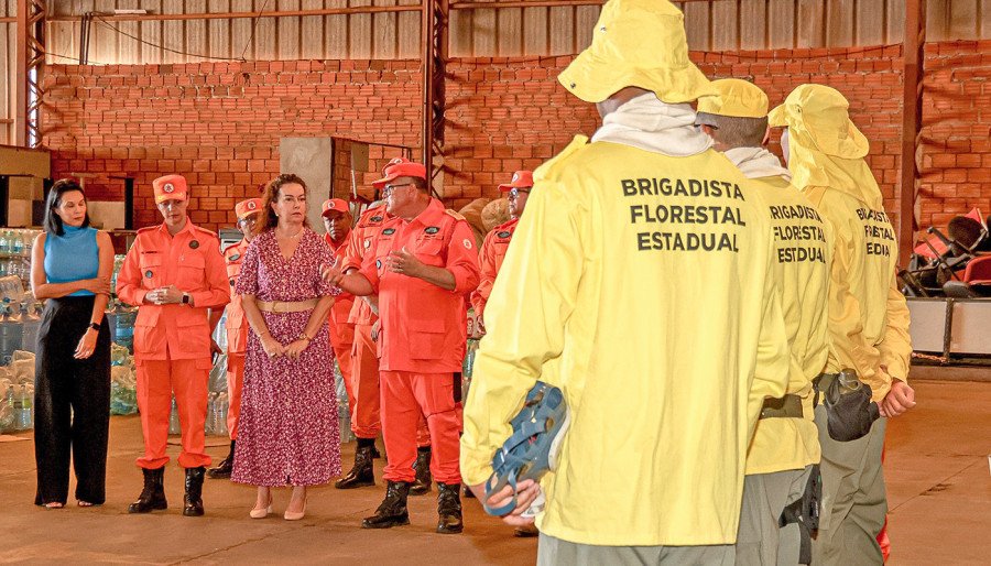 Brigadistas contratados com recursos do TED Semarh-CBMTO reforçam equipes de combate em 2024