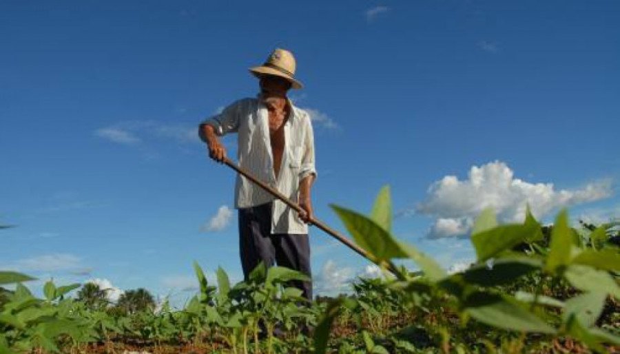 Agricultor tocantinense é a grande mola propulsora para o desenvolvimento agrícola (Foto: Seagro/Governo do Tocantins)