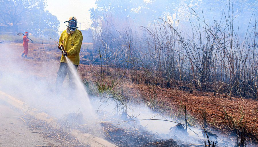 Contratação será por tempo indeterminado, conforme necessidade e critério do Governo do Tocantins (Foto: Luiz Henrique Machado)