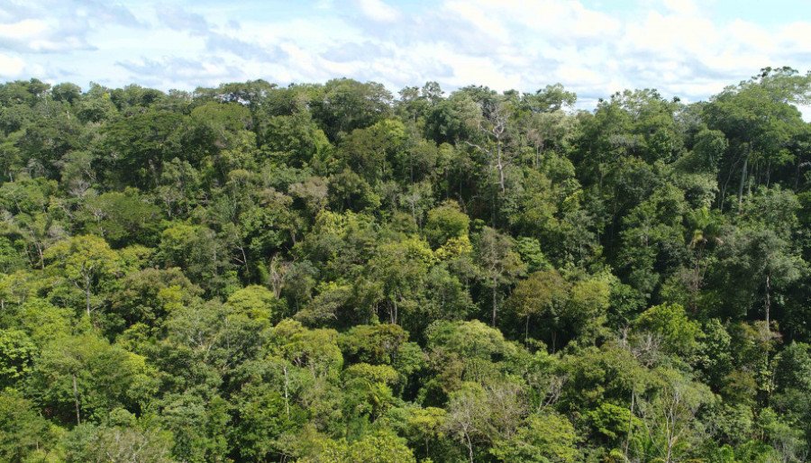 Governo do Tocantins publica boletim semanal com dados climáticos e de focos de queimadas para intensificar o combate ao fogo nas áreas mais críticas (Foto: Fernando Alves)