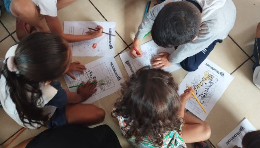 A palestra teve como objetivo sensibilizar as crianças sobre a importância da preservação do Cerrado (Foto: Naturatins)