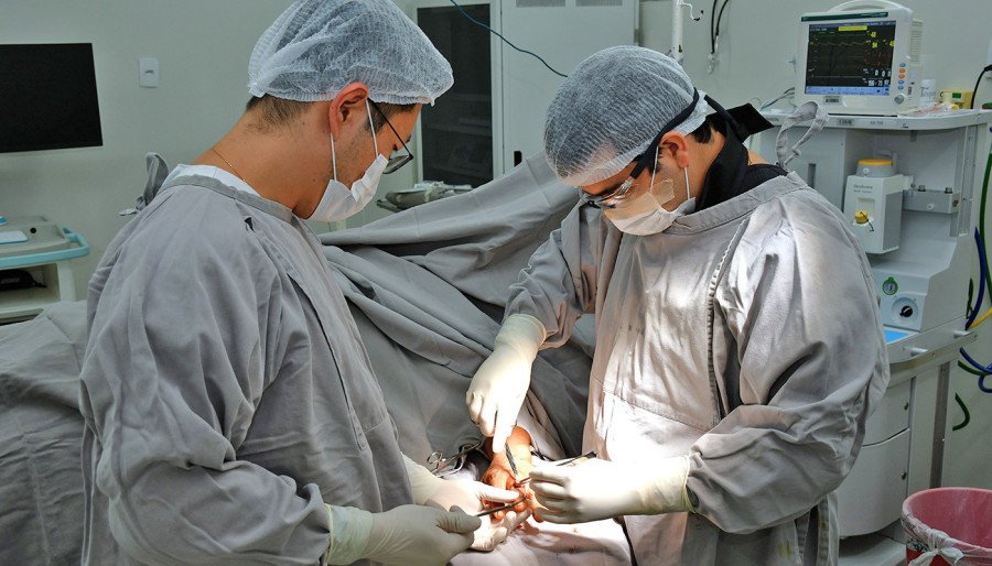 Objetivo é ampliar o número de profissionais e de cirurgias realizadas nos Hospitais Estaduais (Foto: André Araújo)