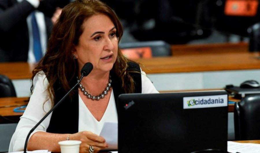Senadora Kátia Abreu (Foto: Divulgação)