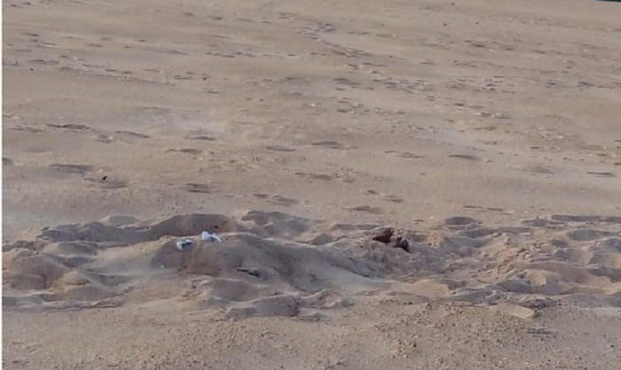 Corpo estava enterrado nas areias da praia do SÃ£o Francisco em Praia Norte