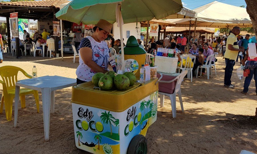 Seagro abriu inscriÃ§Ãµes para vendedores ambulantes, lanchonetes e food truks na Agrotins 2019 (Foto: Rondinelli BenÃ­cio)