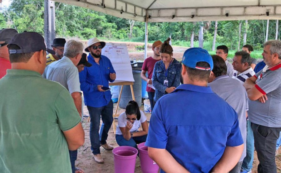 Na propriedade, os profissionais do Ruraltins fizeram uma dinâmica sobre técnicas de manejo do pescado (Foto: Ruraltins/Governo do Tocantins)