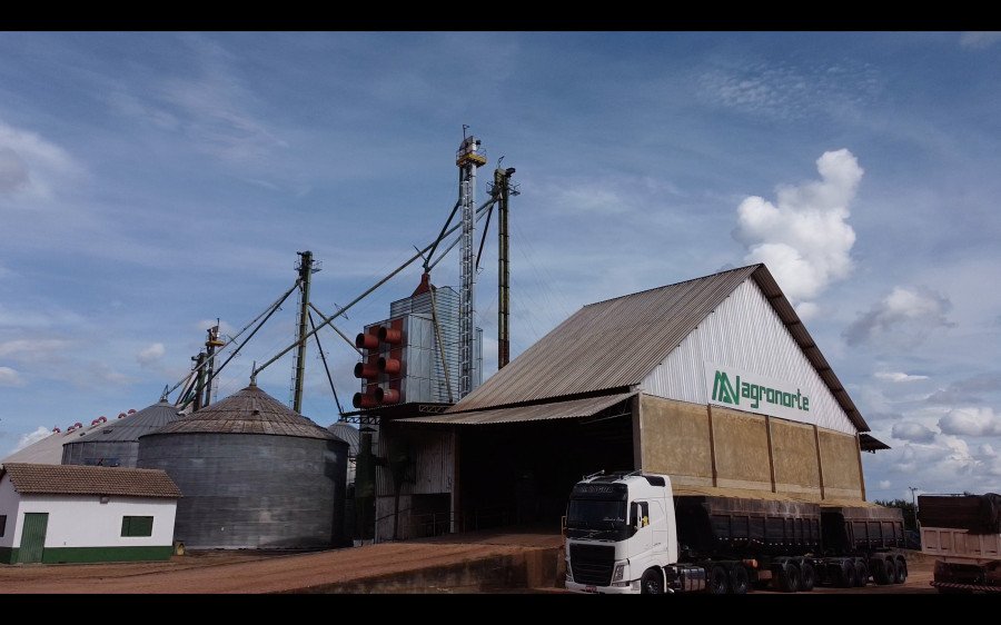 Agronorte planeja investimentos em armazém de grãos e fábrica de rações no TO para atender à crescente necessidade no Norte e Nordeste