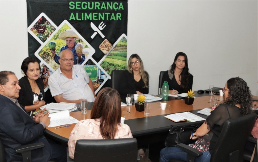 Governo do Tocantins discutiu polÃ­ticas pÃºblicas de seguranÃ§a alimentar em reuniÃ£o da CAISAN (Foto: Katriel Bernardes)