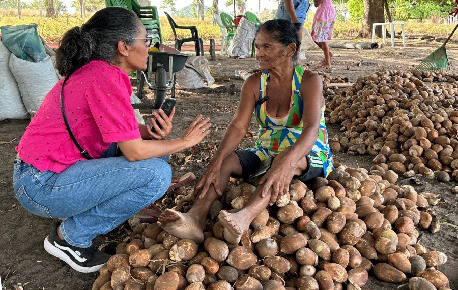 Somos Raimundas: Exposição fotográfica de Loise Maria homenageia quebradeiras de coco babaçu da região do Bico do Papagaio