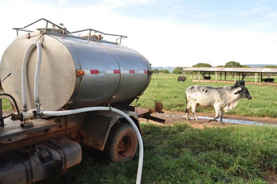 A maior concentraÃ§Ã£o das agroindÃºstrias do leite estÃ¡ nos municÃ­pios de AraguaÃ­na, ColmÃ©ia e AugustinÃ³polis