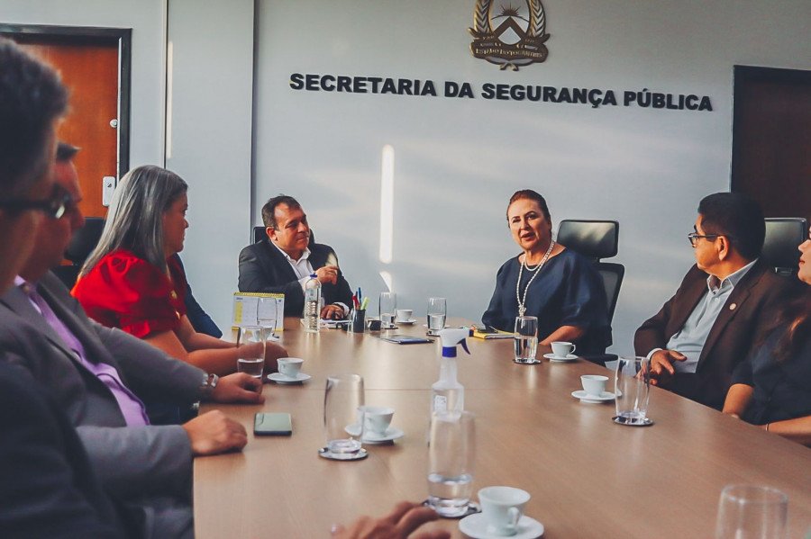Senadora Kátia durante visita ao secretário da Segurança Pública do Tocantins, Wlademir Oliveira (Foto: Divulgação)
