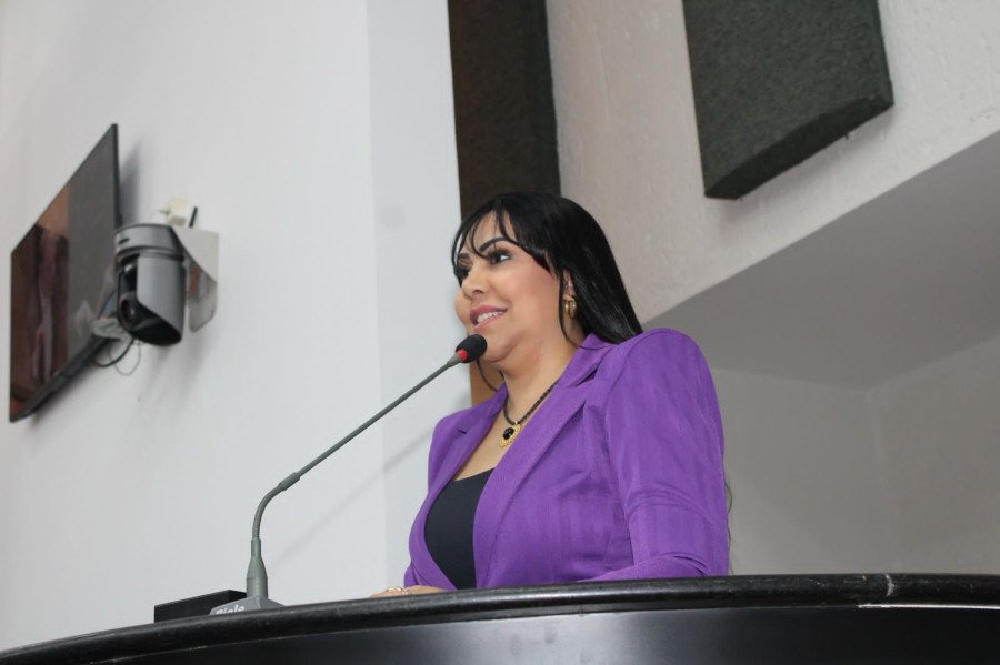 Deputada Professora Janad Valcari requer implantação da Casa da Gestante no Hospital Regional de Augustinópolis (Foto: Divulgação/Ascom)