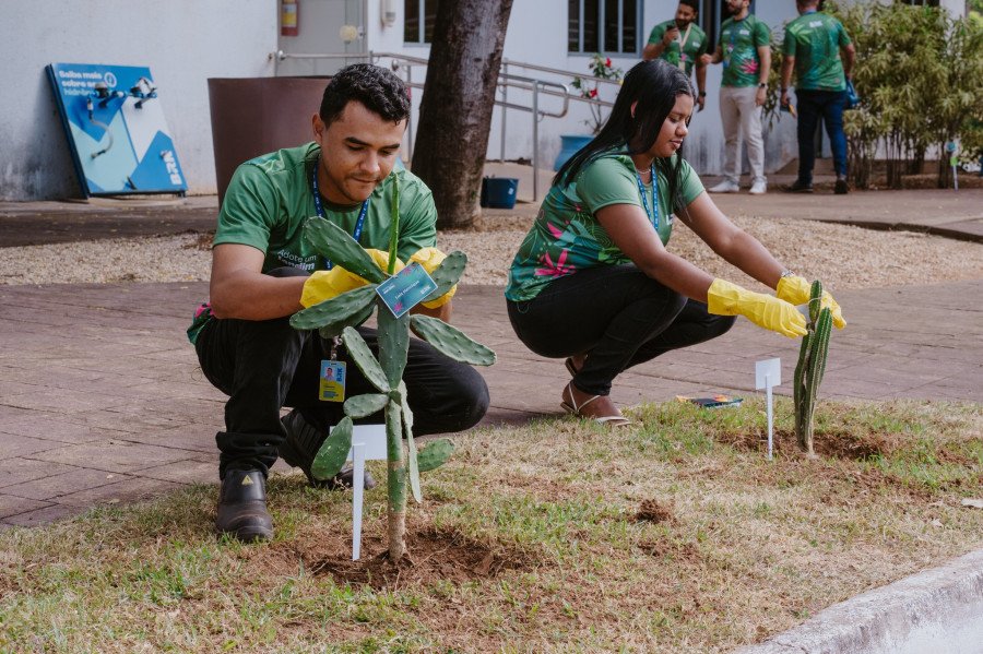 Ações de conscientização da BRK marcam Mês do Meio Ambiente no Tocantins e Pará (Foto: Divulgação/BRK)