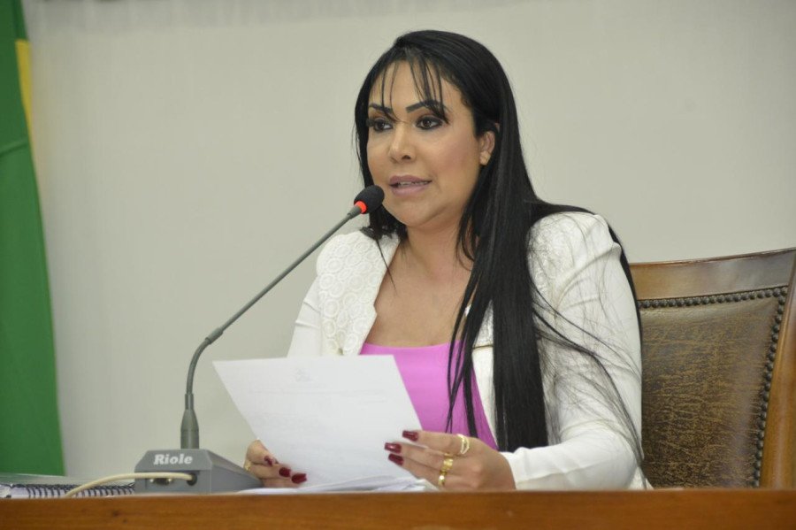 Projeto de Janad visa garantir atendimento psicológico a vítimas de violência doméstica no Tocantins (Foto: Divulgação)