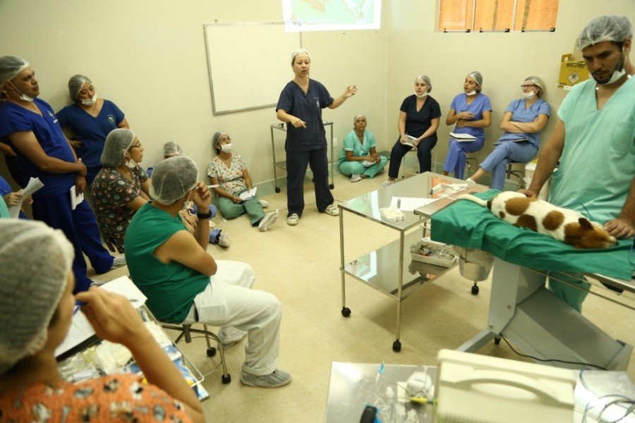 Curso de Anestesiologia VeterinÃ¡ria na EMVZ recebeu participantes de cinco estados