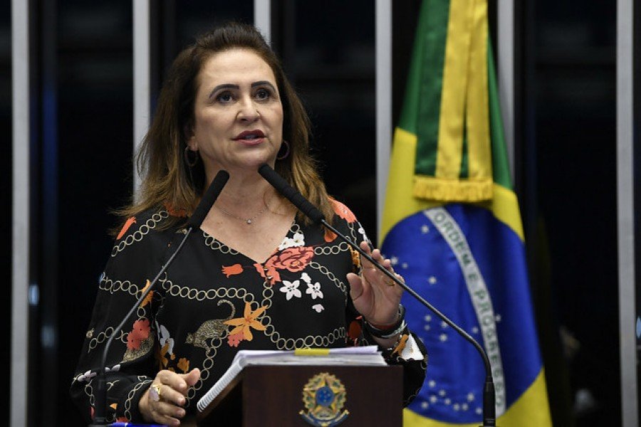 Senadora Kátia Abreu (Foto: Divulgação)
