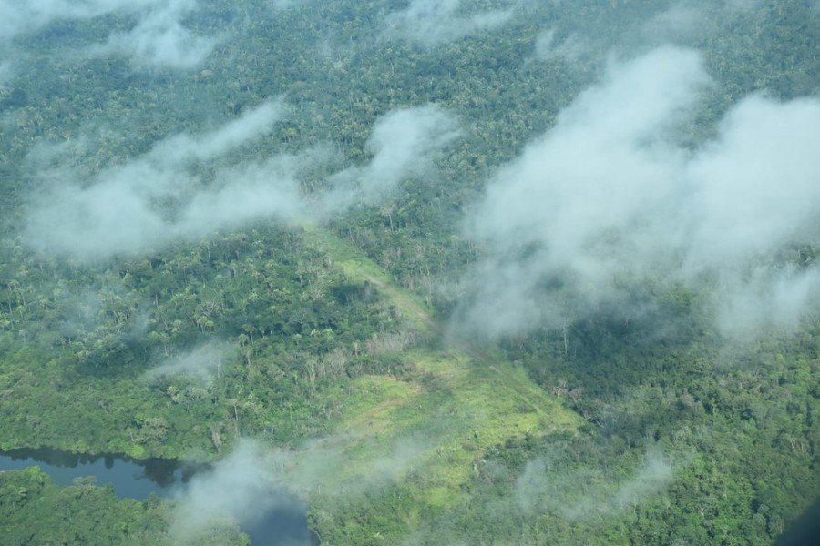 Operação flagrou pista clandestina em área de preservação ambiental no Pará (Foto: Reprodução/TV Liberal)