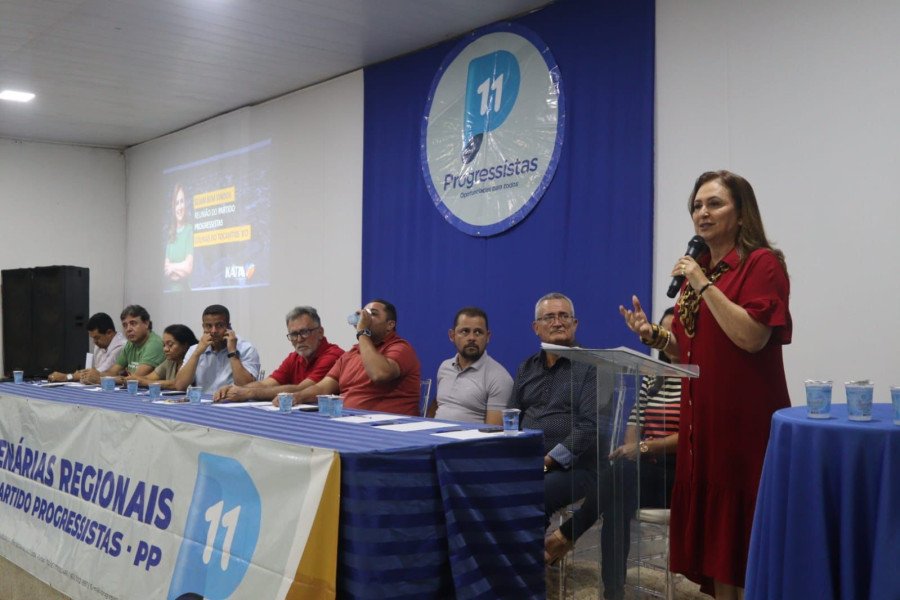 Em Colinas, senadora Kátia recebe apoio de vereadores e de grupo do ex-prefeito José Santana (Foto: Divulgação)