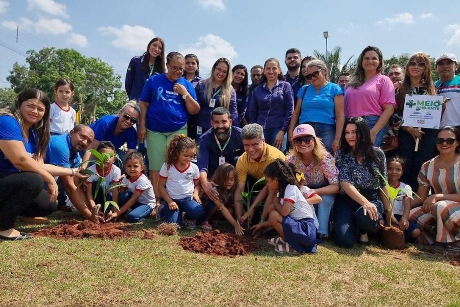 Prefeitura de Porto Franco-MA realiza plantio de cerca de 3 mil mudas, fruto de parceria entre ADM e Município (Foto: Divulgação)