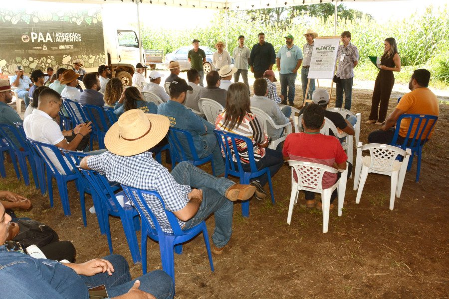 Ruraltins realiza Dia de Campo e mostra custo-benefício em Sistema de Integração Lavoura-Pecuária (Foto: Delfino Miranda)