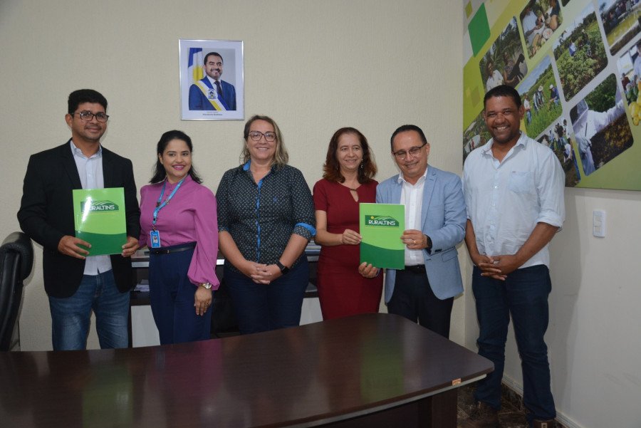 Parceria entre Governo do Tocantins e Governo Federal leva energia elétrica para zona rural através do programa Luz para Todos (Foto: Ruraltins)