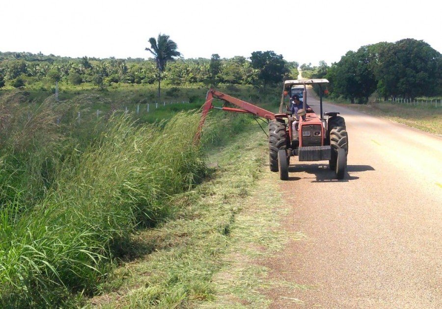 RoÃ§agem mecanizada nas margens da rodovia (Foto: Ageto/Governo do Tocantins)