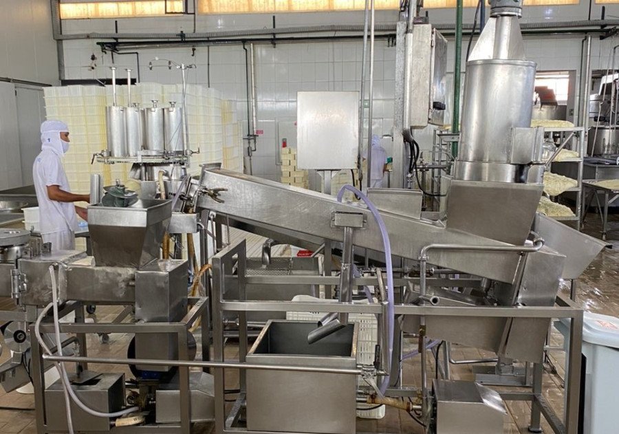 Indústrias processam cerca de 50 mil litros de leite ao dia (Foto: Divulgação)