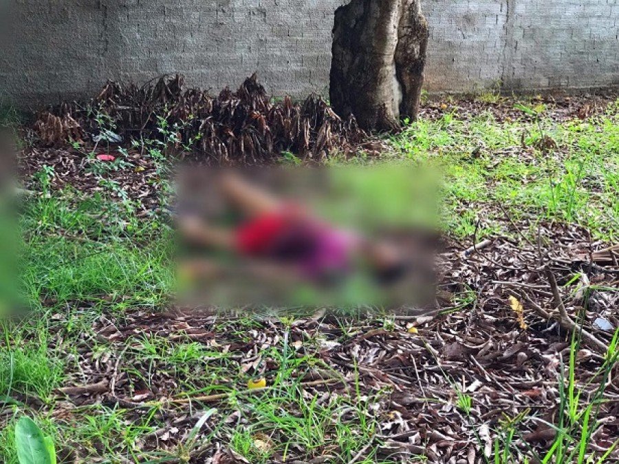 Homem foi encontrado morto e degolado em terreno baldio de AraguaÃ­na