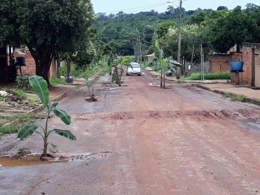 Em protesto, moradores plantam bananeiras em crateras nas ruas de LuzinÃ³polis