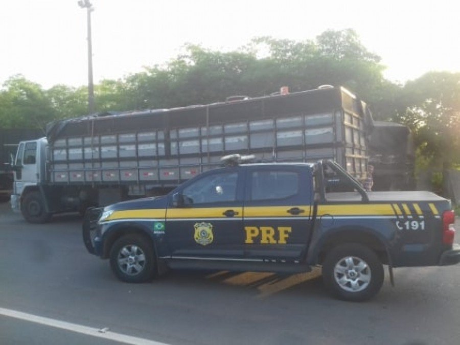 O motorista informou aos policiais que pegou o caminhÃ£o no municÃ­pio de Formoso do Araguaia e seguia para MarabÃ¡-PA