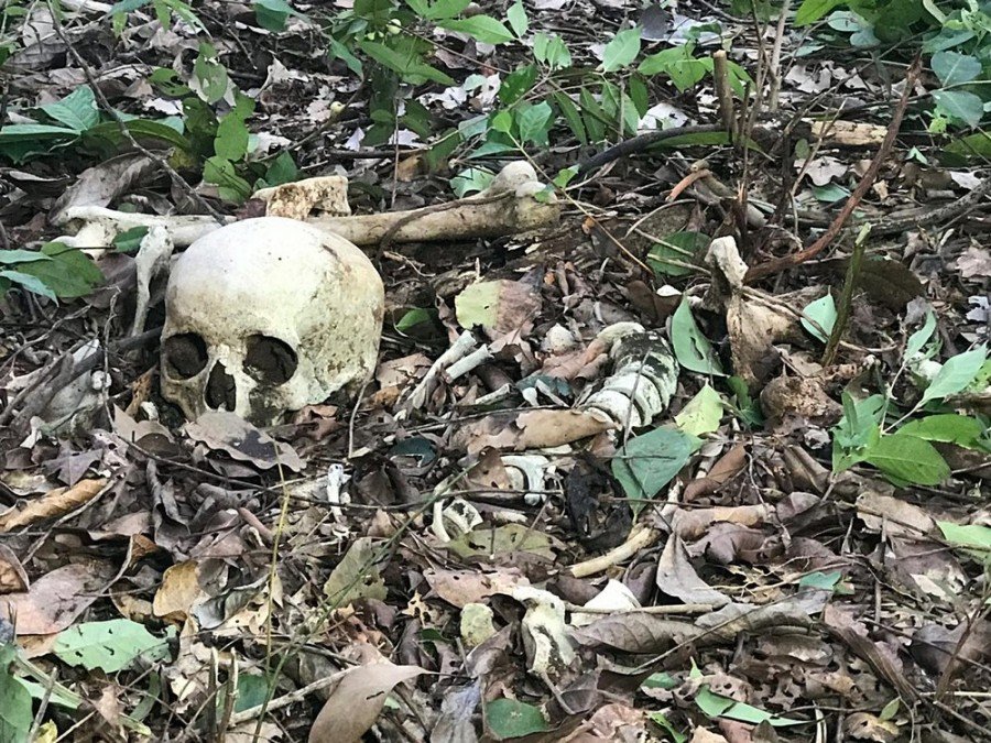 PolÃ­cia Militar localizou ossada humana em matagal prÃ³ximo do EstÃ¡dio MirandÃ£o em AraguaÃ­na